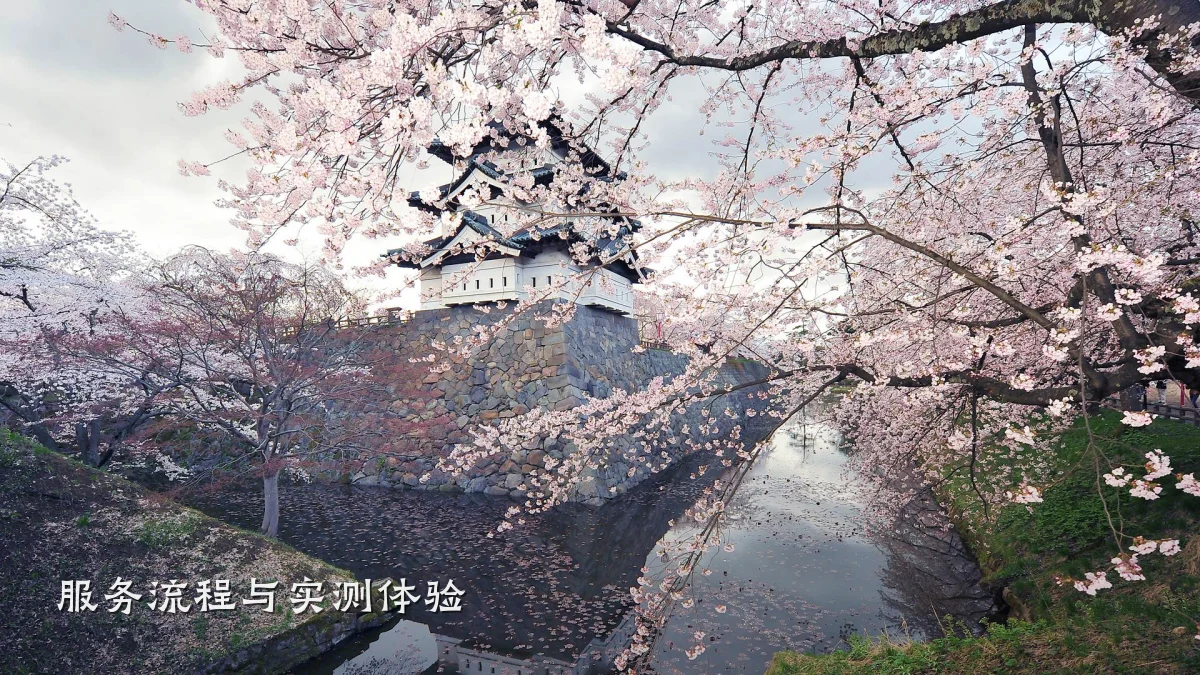 服务流程与实测体验