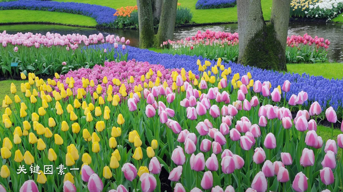 关键因素一