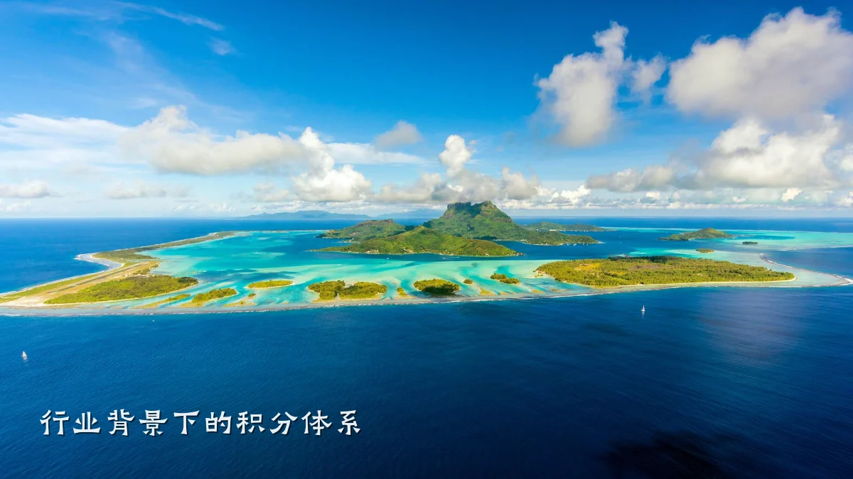 行业背景下的积分体系