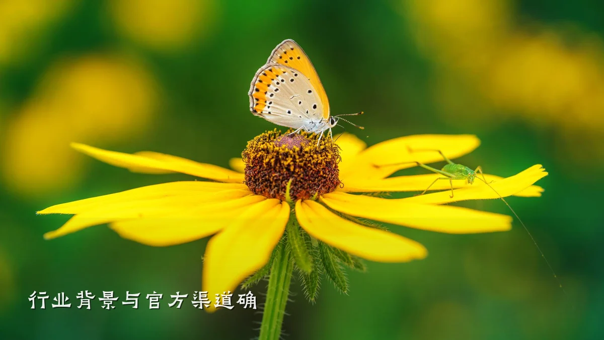 行业背景与官方渠道确