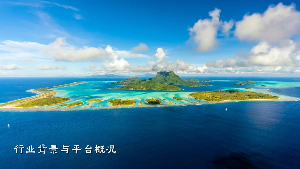 行业背景与平台概况