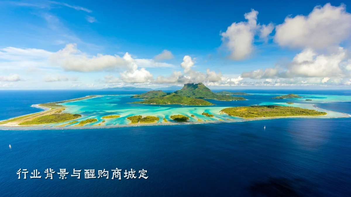 行业背景与醒购商城定