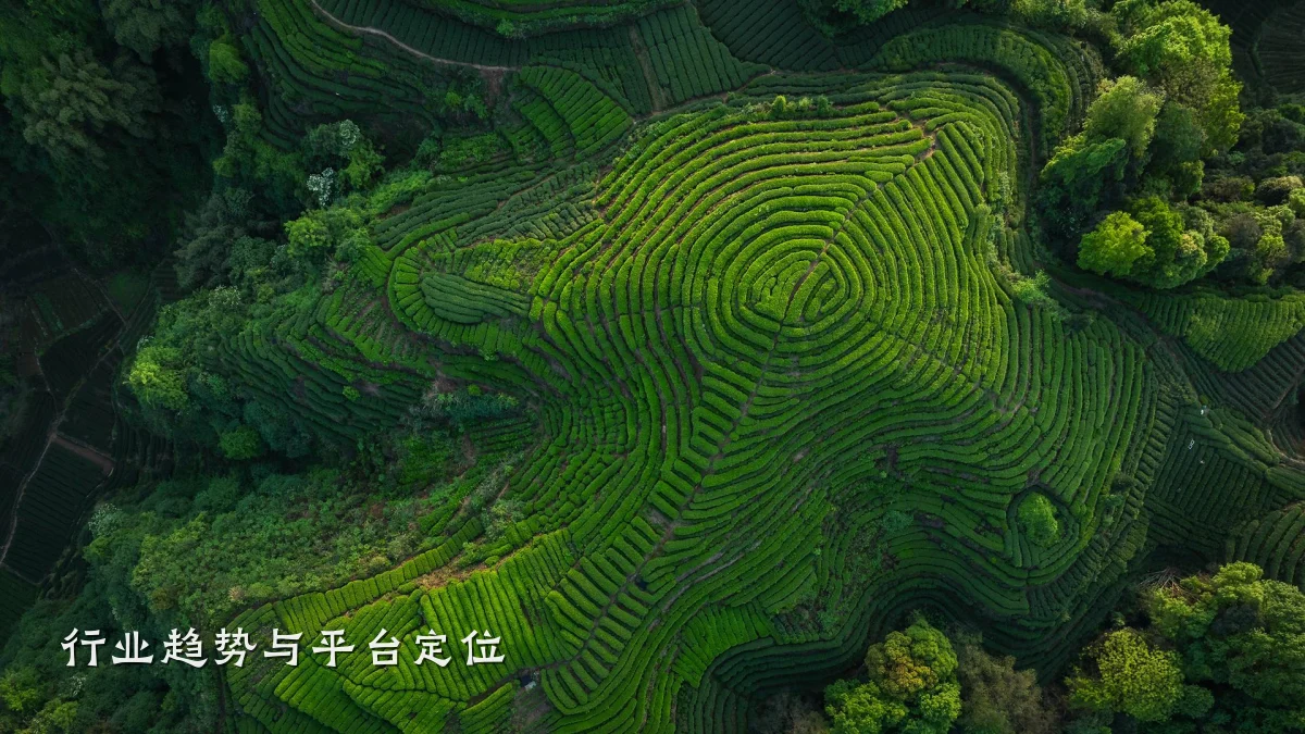行业趋势与平台定位