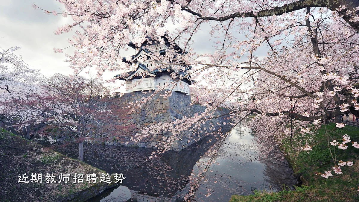 近期教师招聘趋势