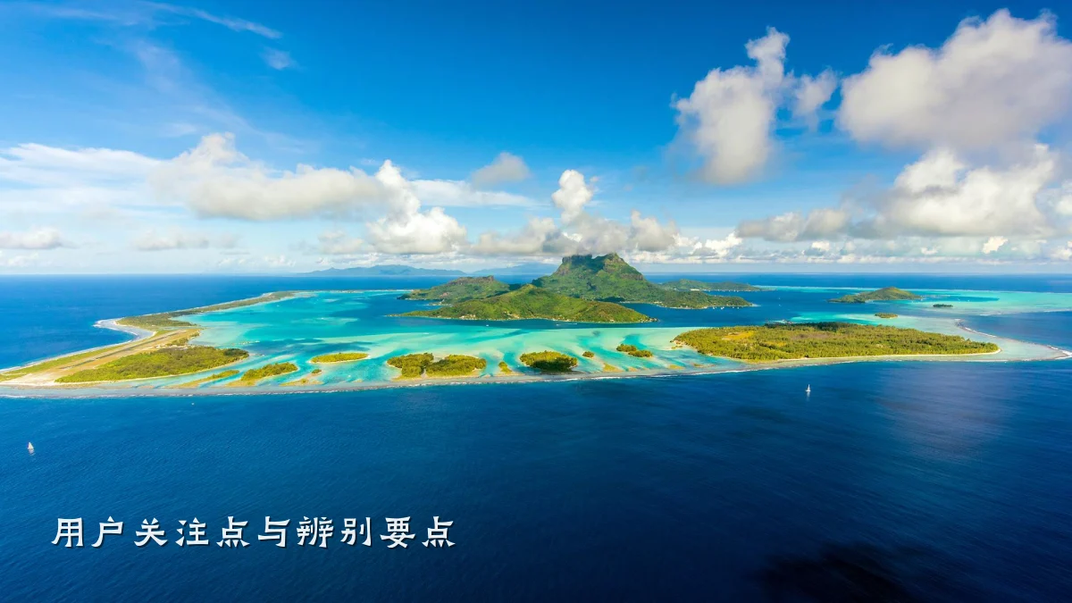 用户关注点与辨别要点