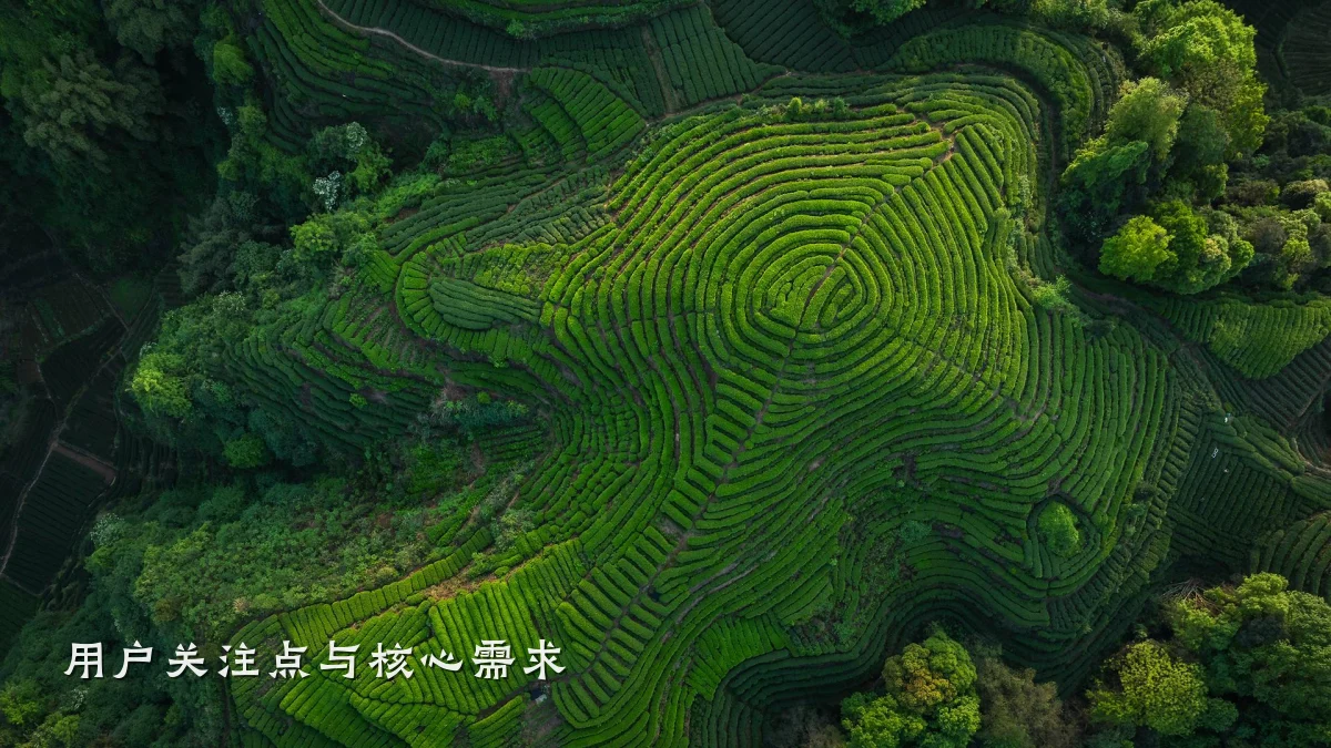 用户关注点与核心需求