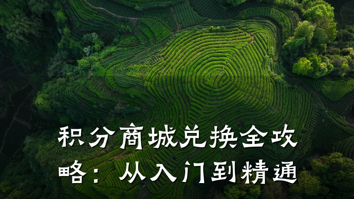 积分商城兑换全攻略:从入门到精通