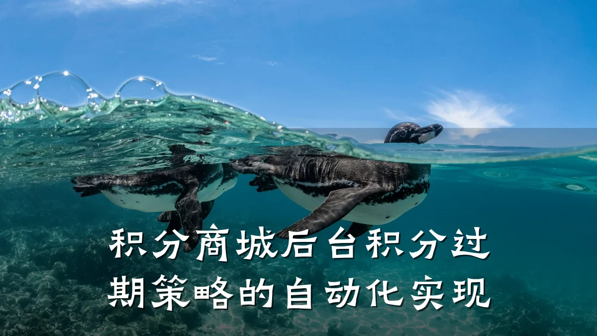 积分商城后台积分过期策略的自动化实现