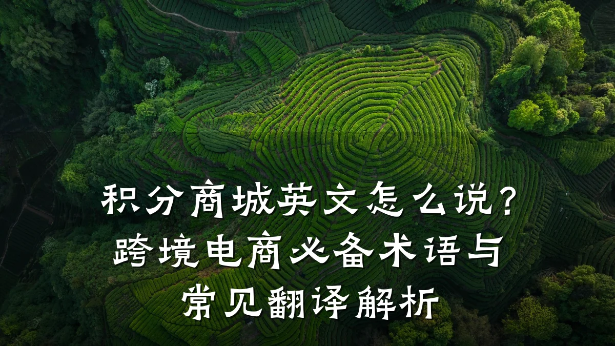积分商城英文怎么说?跨境电商必备术语与常见翻译解析