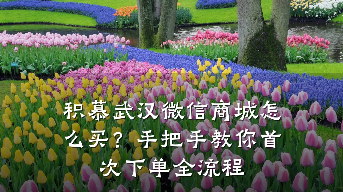 积慕武汉微信商城怎么买?手把手教你首次下单全流程