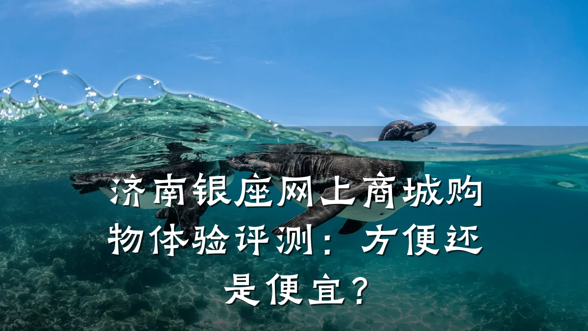 济南银座网上商城购物体验评测:方便还是便宜?