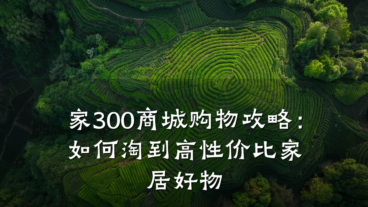 家300商城购物攻略:如何淘到高性价比家居好物