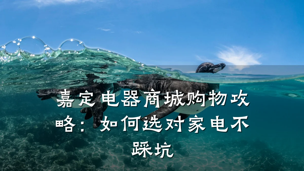 嘉定电器商城购物攻略:如何选对家电不踩坑