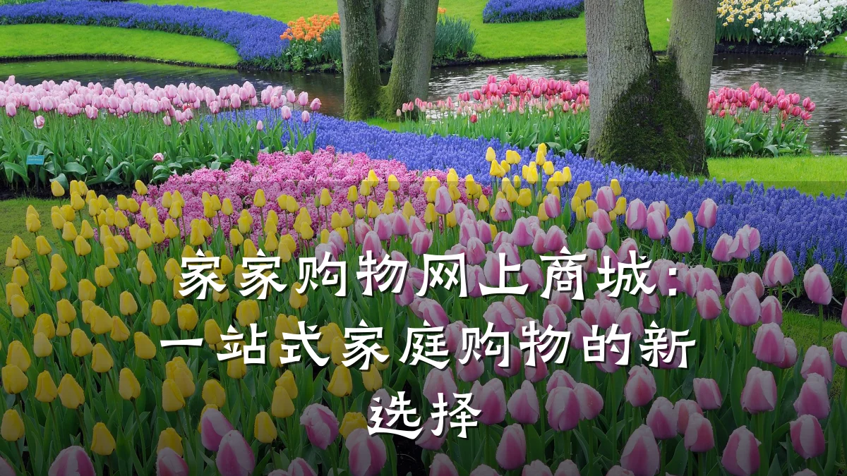 家家购物网上商城：一站式家庭购物的新选择