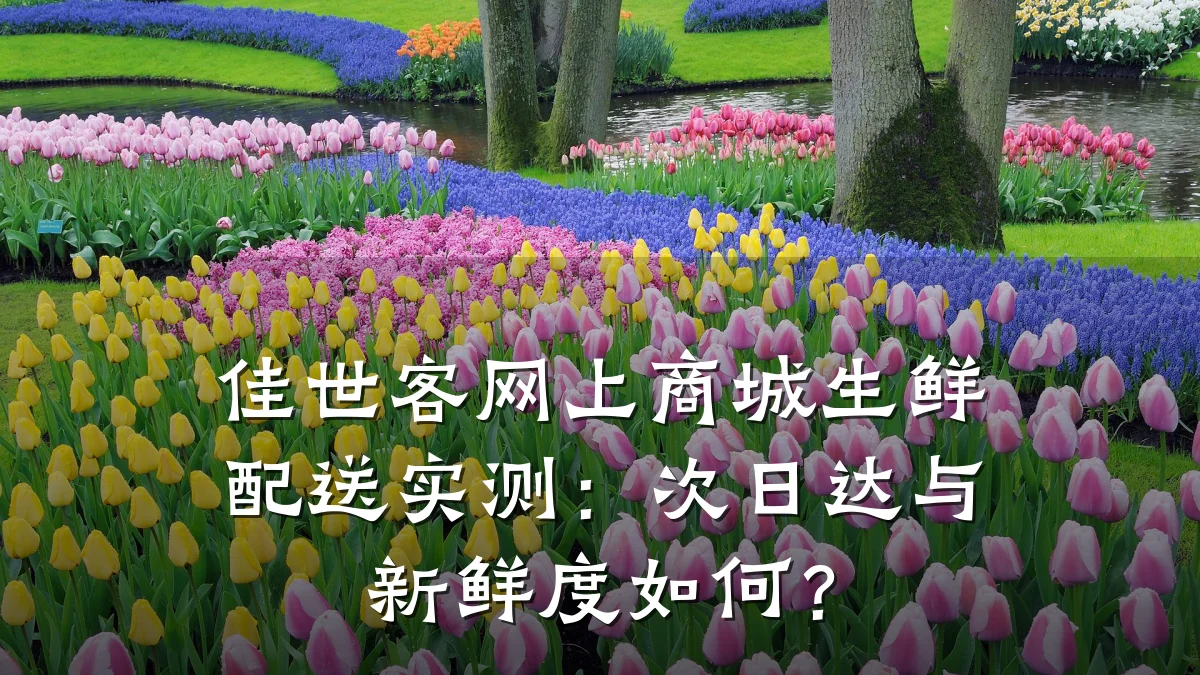 佳世客网上商城生鲜配送实测:次日达与新鲜度如何?