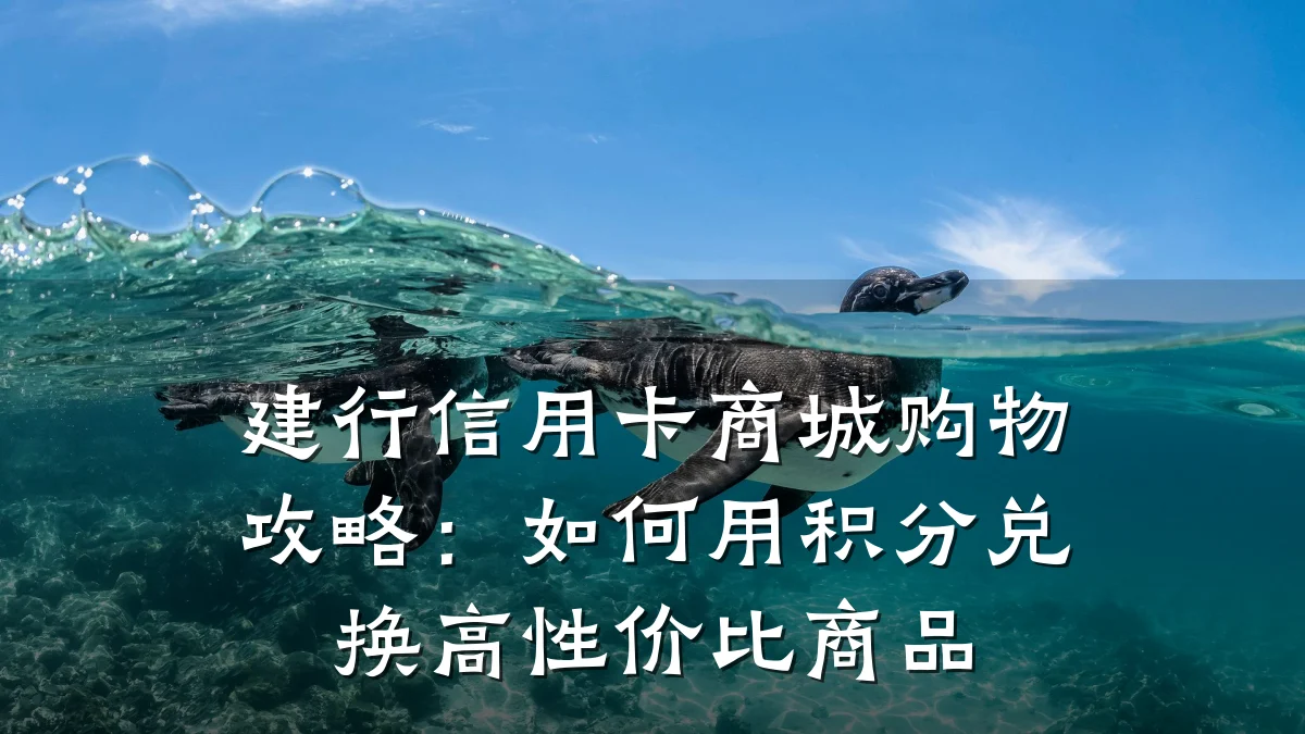 建行信用卡商城购物攻略:如何用积分兑换高性价比商品