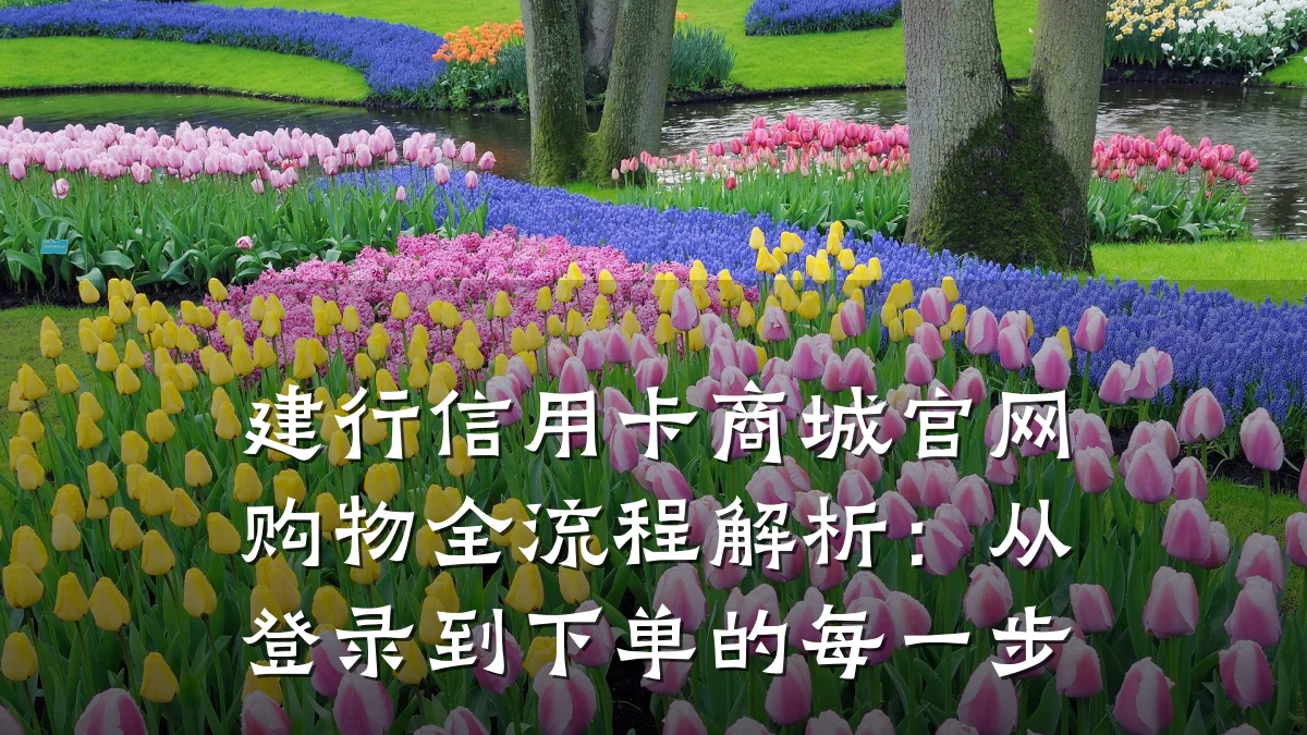 建行信用卡商城官网购物全流程解析:从登录到下单的每一步