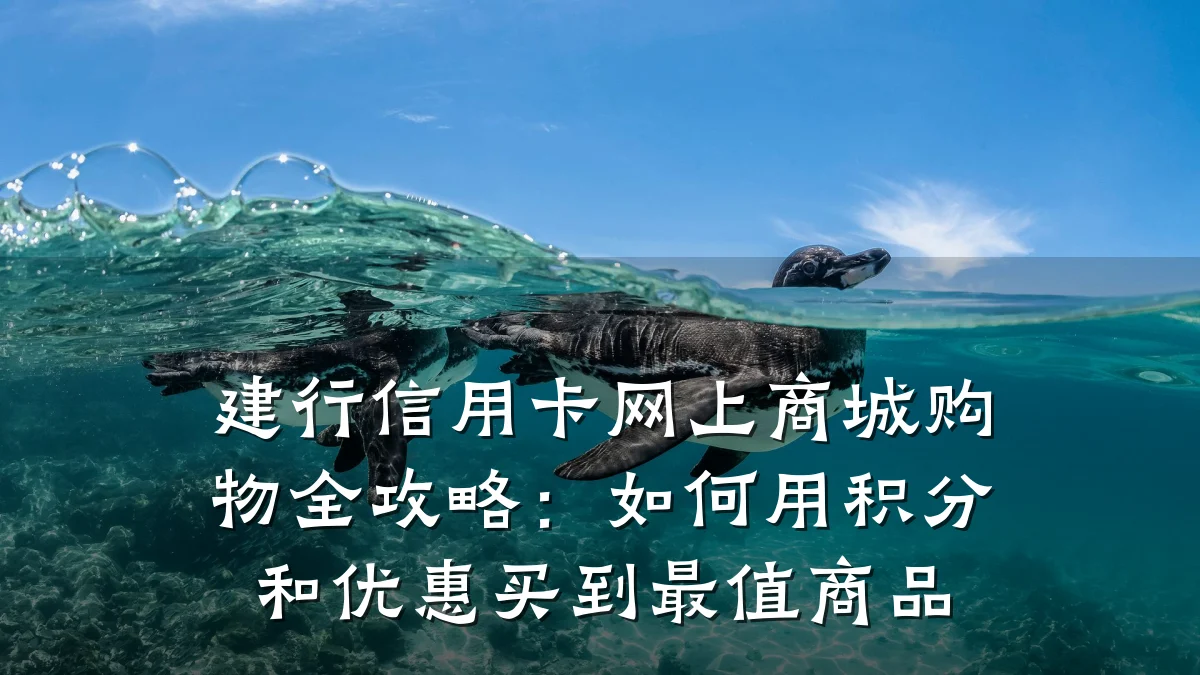 建行信用卡网上商城购物全攻略:如何用积分和优惠买到最值商品