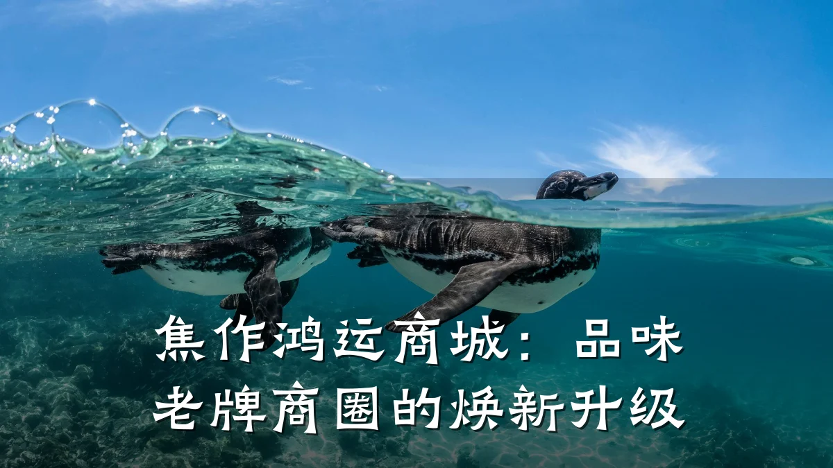 焦作鸿运商城：品味老牌商圈的焕新升级