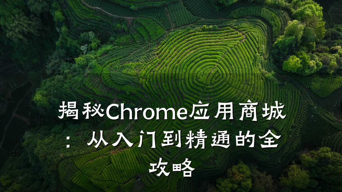 揭秘Chrome应用商城:从入门到精通的全攻略