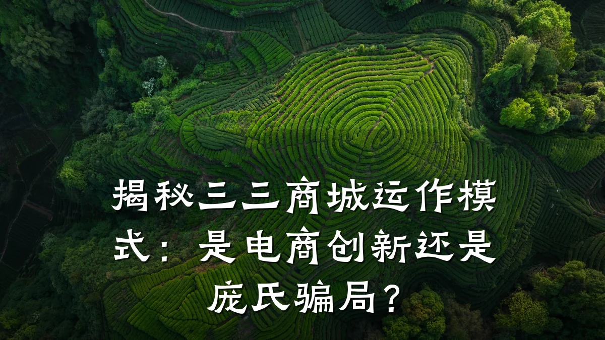 揭秘三三商城运作模式:是电商创新还是庞氏骗局?