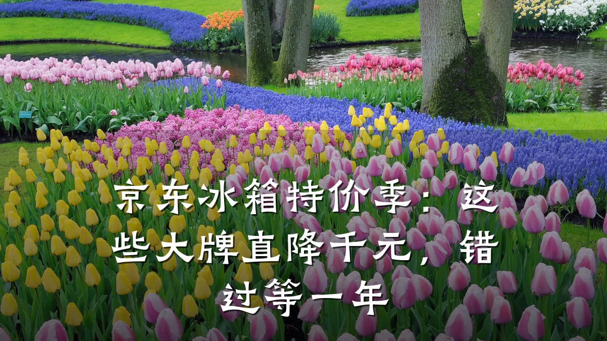 京东冰箱特价季:这些大牌直降千元,错过等一年