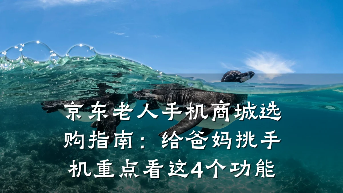 京东老人手机商城选购指南：给爸妈挑手机重点看这4个功能
