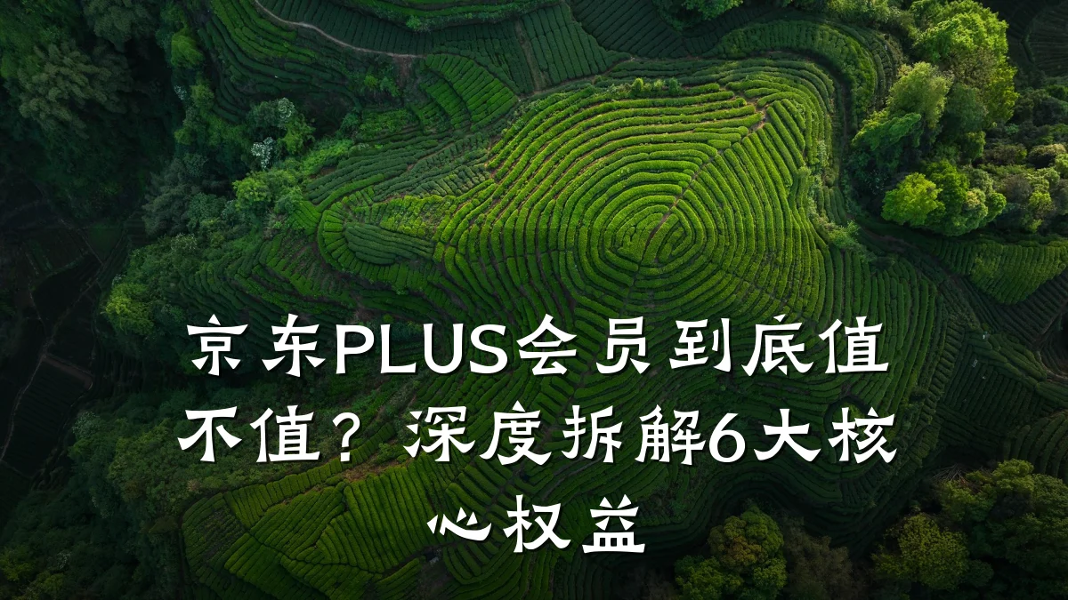 京东PLUS会员到底值不值?深度拆解6大核心权益