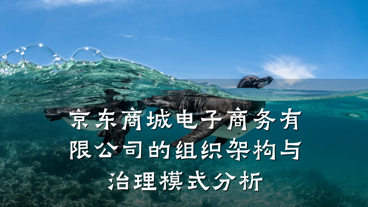 京东商城电子商务有限公司的组织架构与治理模式分析