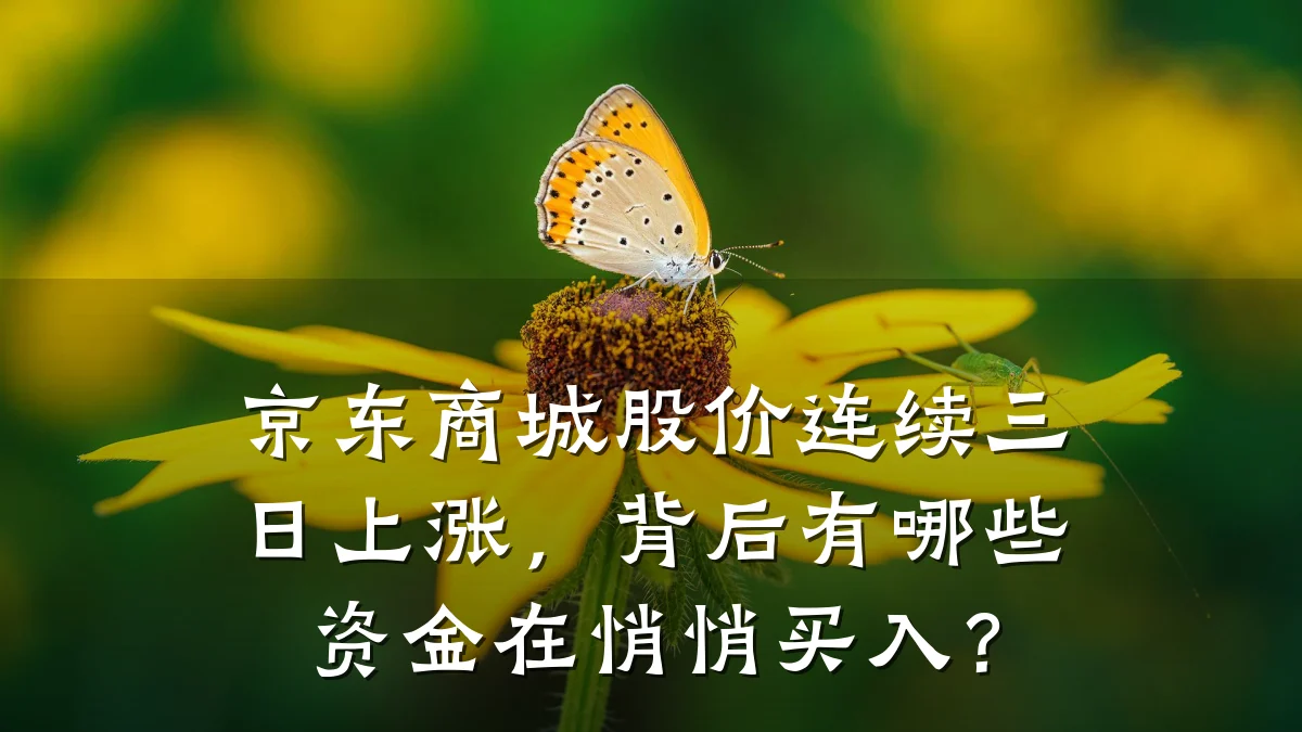 京东商城股价连续三日上涨,背后有哪些资金在悄悄买入?