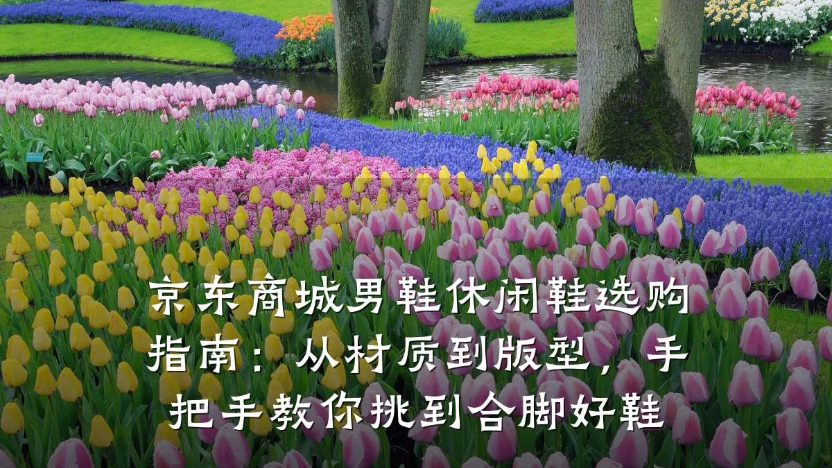 京东商城男鞋休闲鞋选购指南:从材质到版型,手把手教你挑到合脚好鞋
