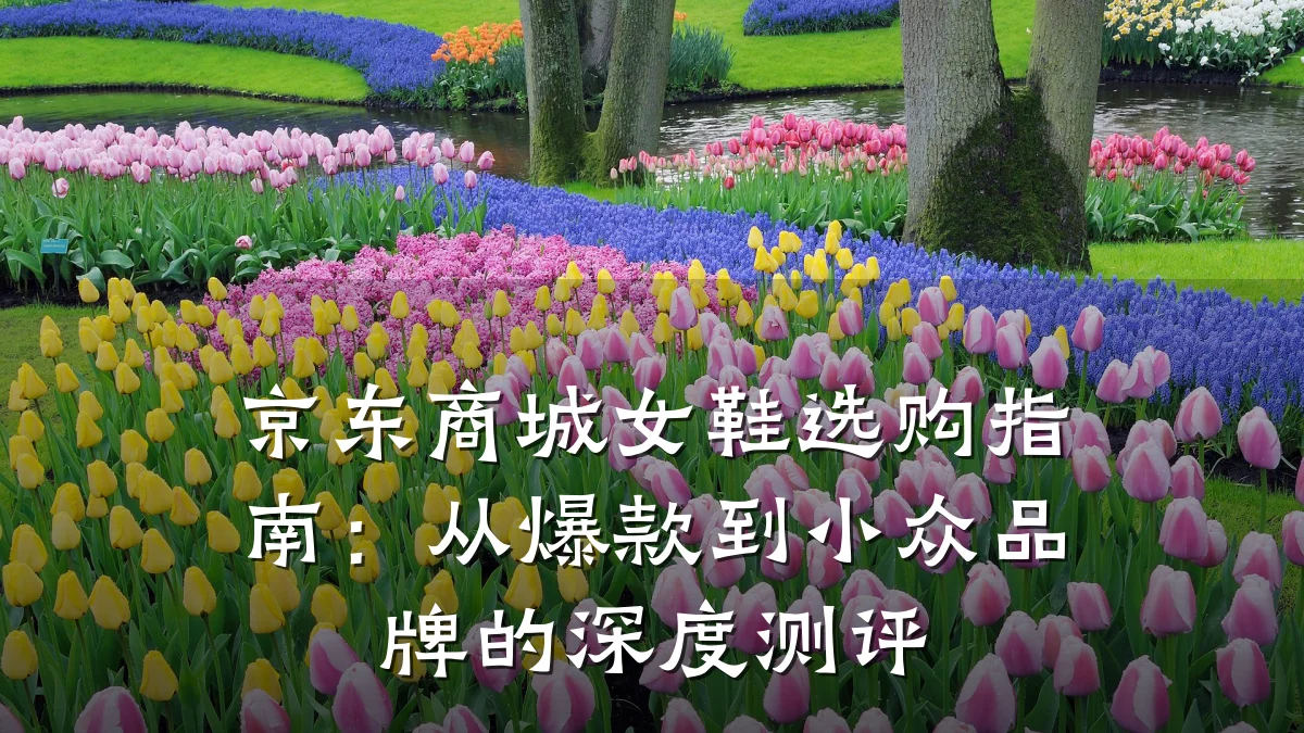 京东商城女鞋选购指南:从爆款到小众品牌的深度测评