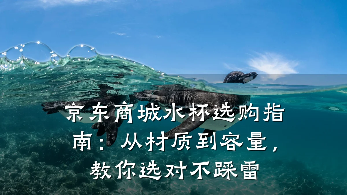 京东商城水杯选购指南:从材质到容量,教你选对不踩雷