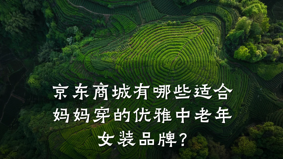 京东商城有哪些适合妈妈穿的优雅中老年女装品牌?