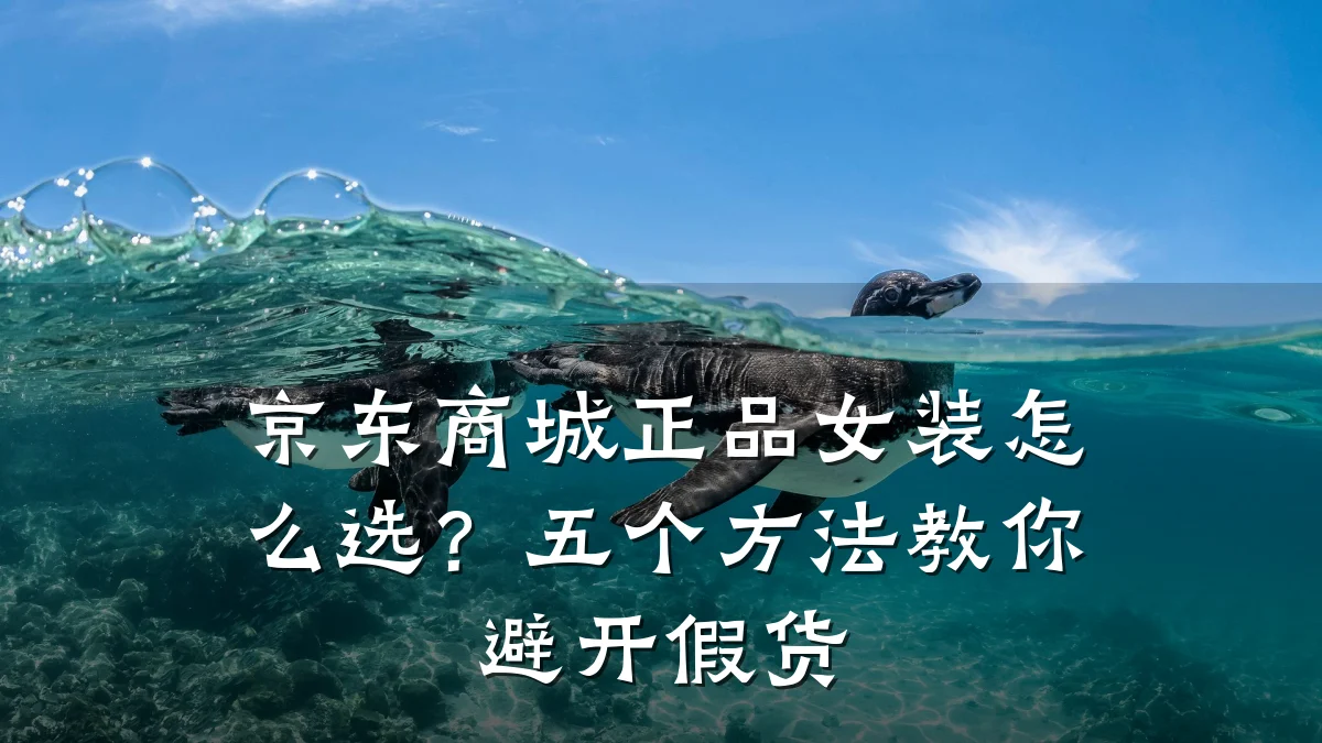 京东商城正品女装怎么选?五个方法教你避开假货