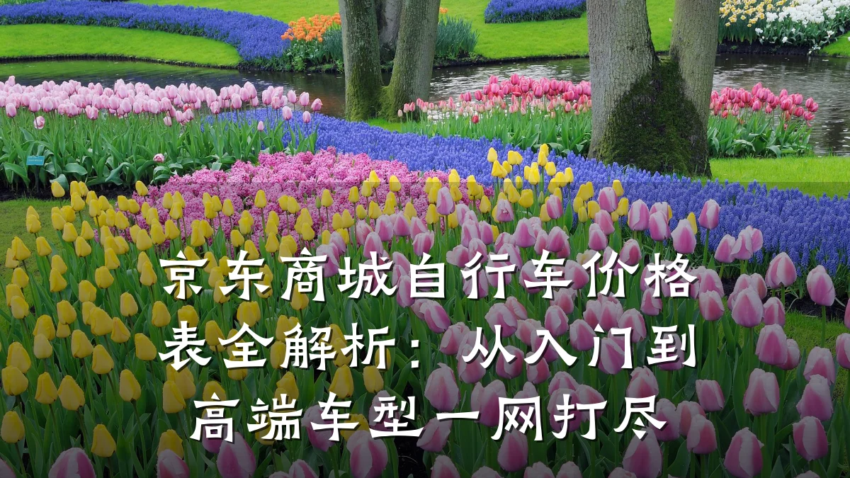 京东商城自行车价格表全解析:从入门到高端车型一网打尽