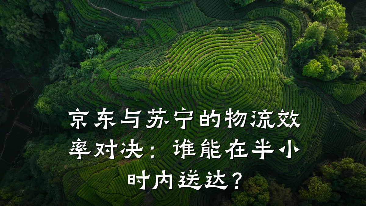 京东与苏宁的物流效率对决:谁能在半小时内送达?