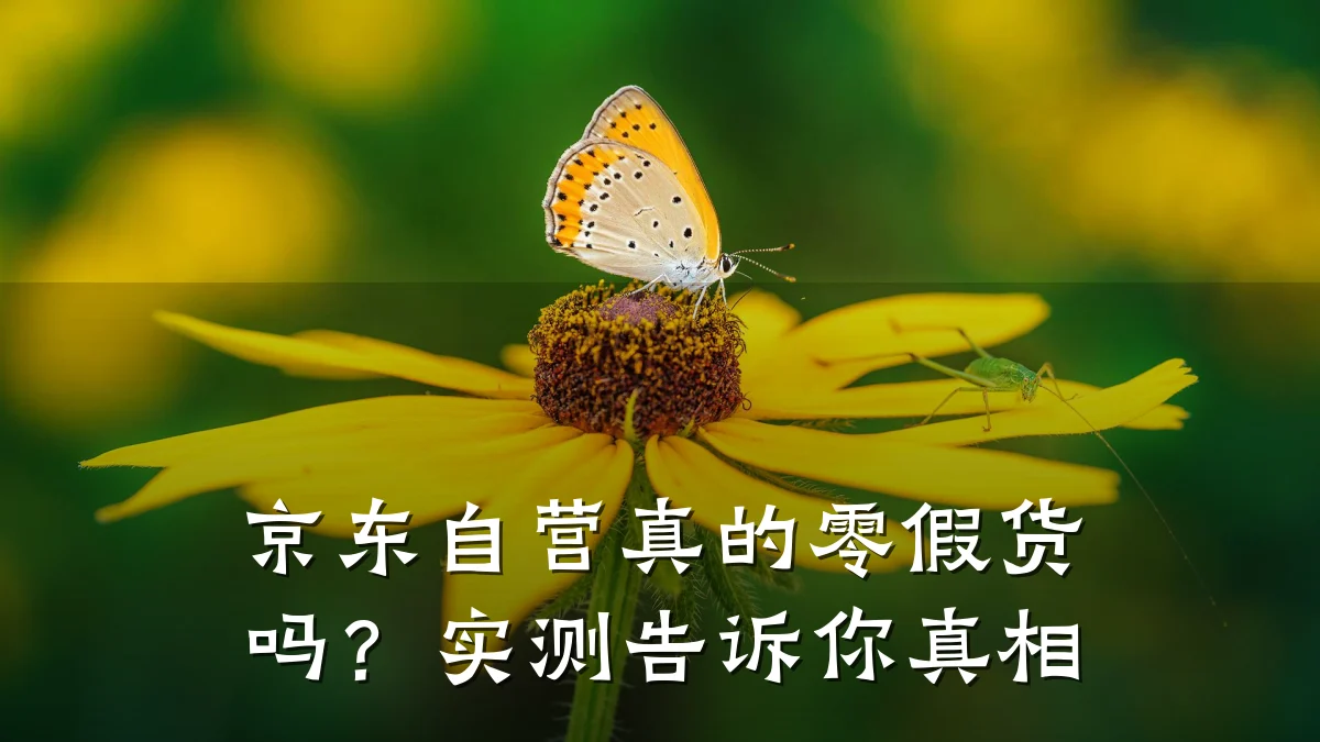 京东自营真的零假货吗？实测告诉你真相