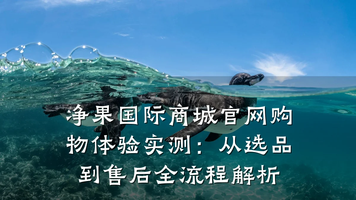 净果国际商城官网购物体验实测:从选品到售后全流程解析