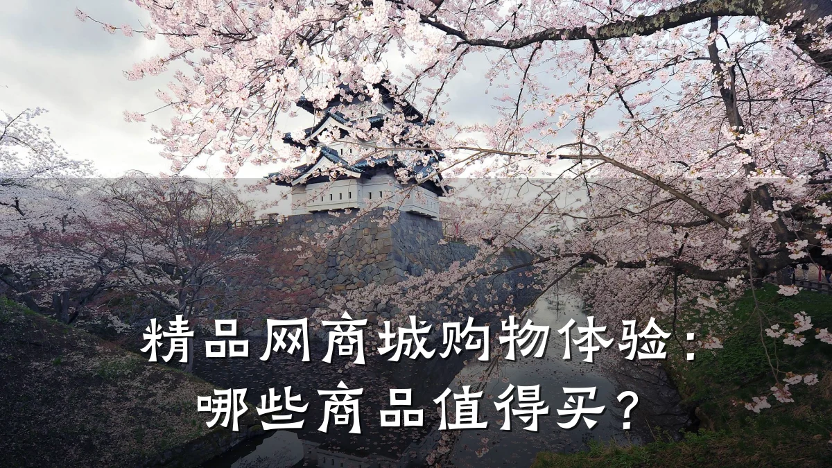 精品网商城购物体验:哪些商品值得买?