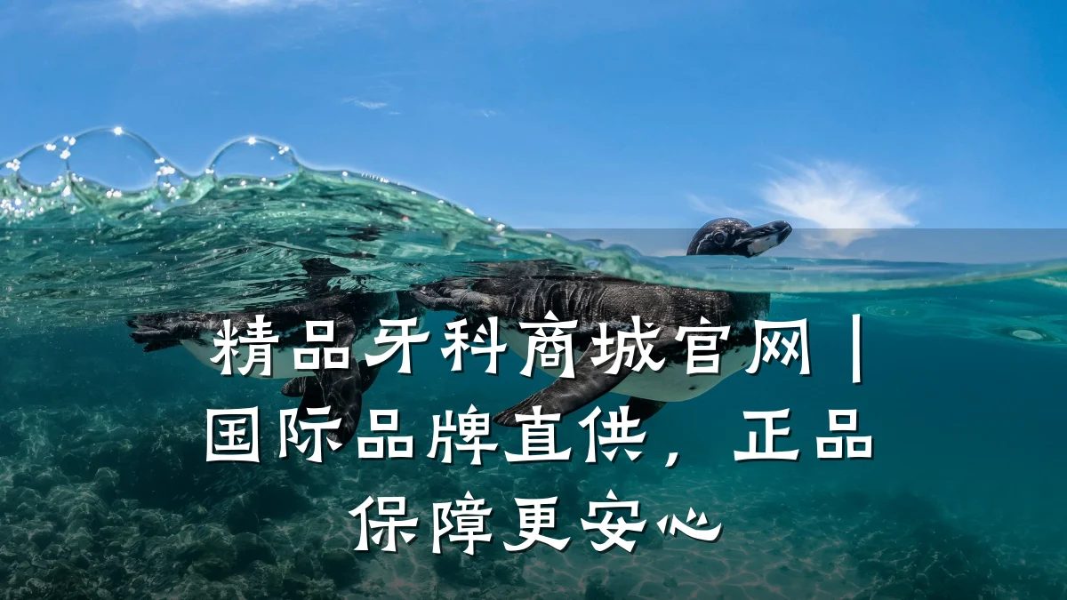精品牙科商城官网|国际品牌直供,正品保障更安心