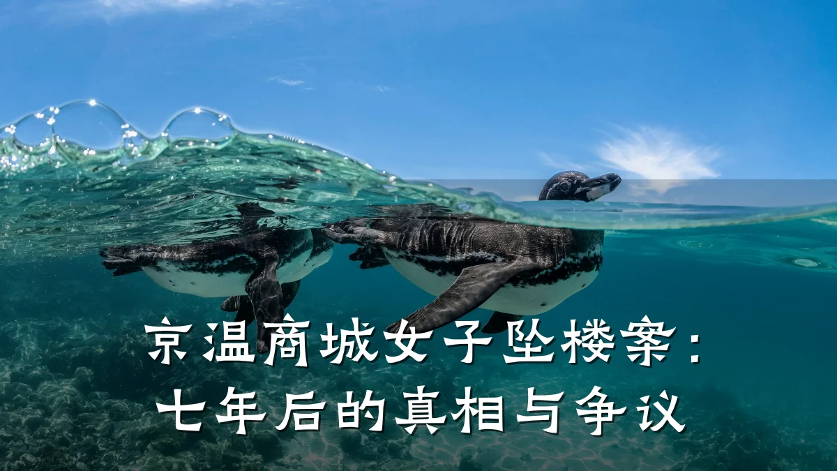 京温商城女子坠楼案:七年后的真相与争议