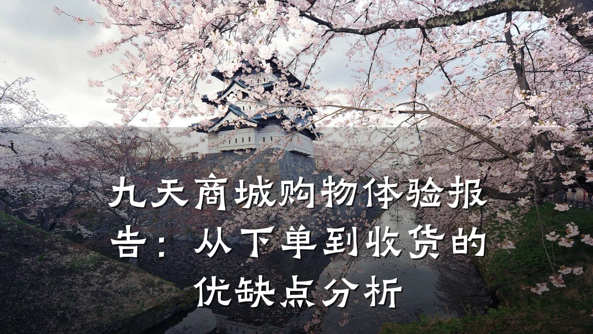 九天商城购物体验报告:从下单到收货的优缺点分析