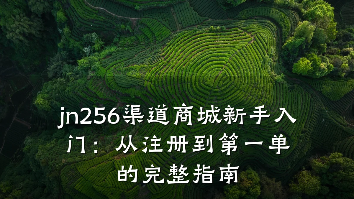 jn256渠道商城新手入门:从注册到第一单的完整指南