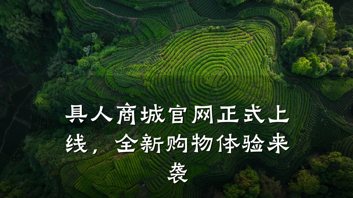 具人商城官网正式上线,全新购物体验来袭