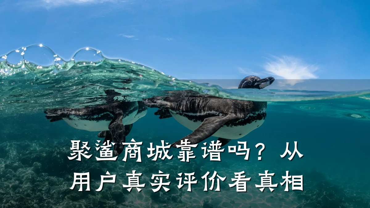 聚鲨商城靠谱吗?从用户真实评价看真相