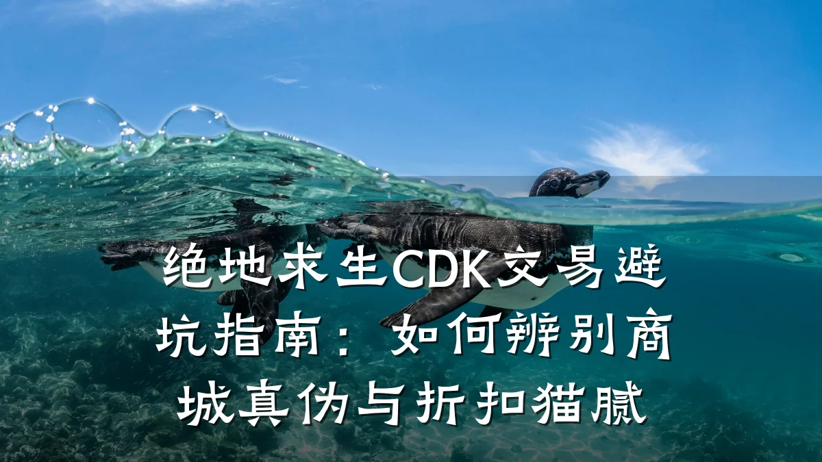 绝地求生CDK交易避坑指南:如何辨别商城真伪与折扣猫腻