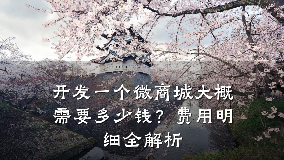 开发一个微商城大概需要多少钱?费用明细全解析