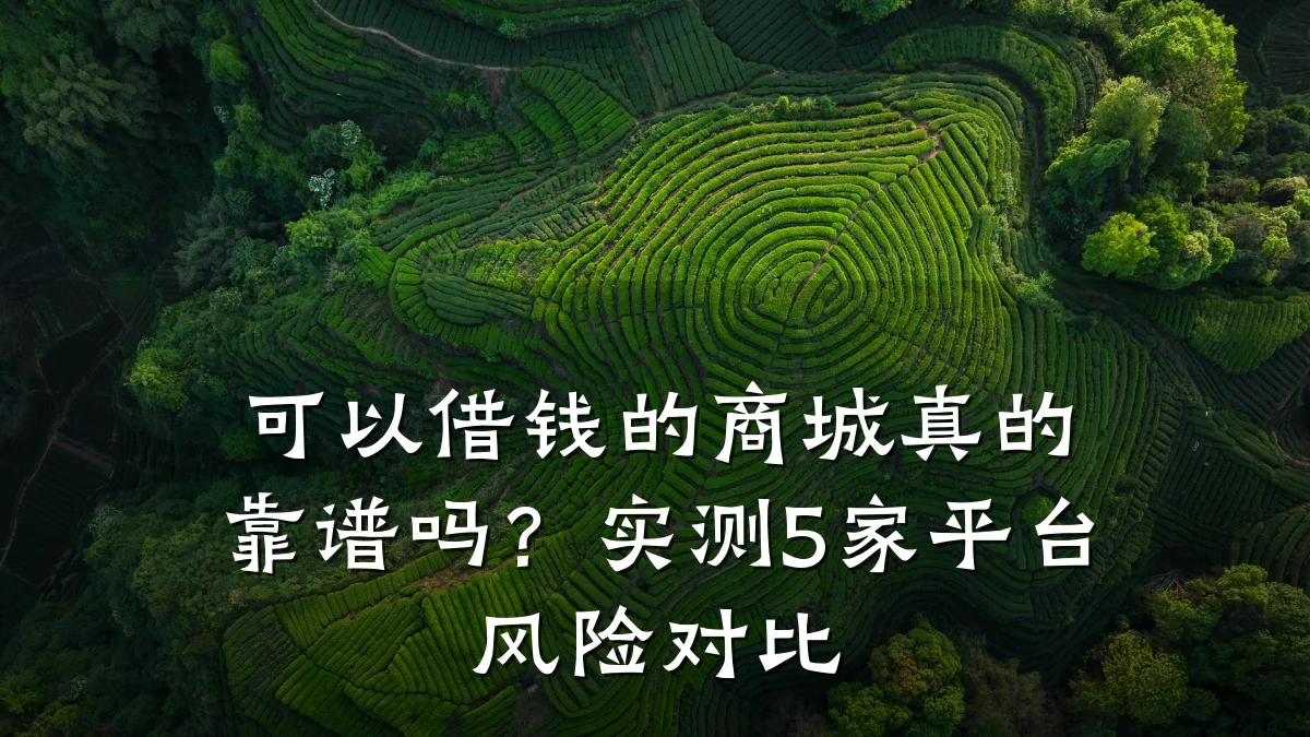 可以借钱的商城真的靠谱吗?实测5家平台风险对比