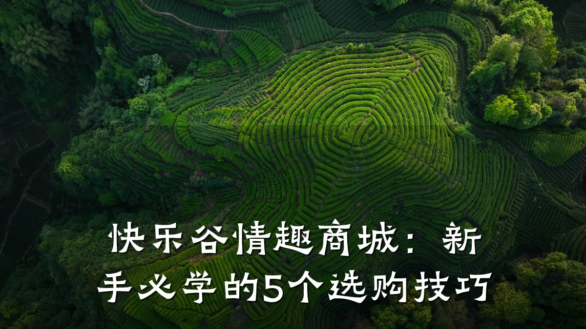 快乐谷情趣商城：新手必学的5个选购技巧